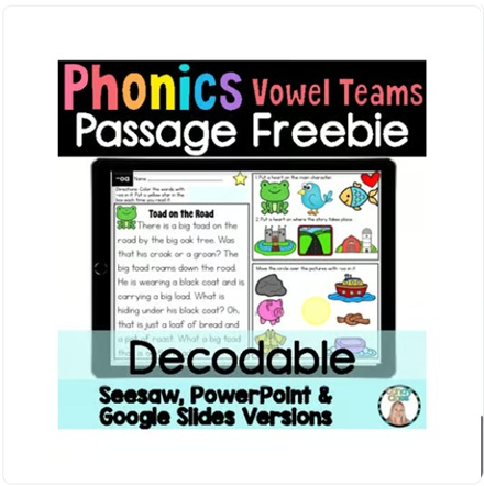 Free Phonics Decodable Reading Comprehension Passages Google Slides Use & Seesaw image preview 2