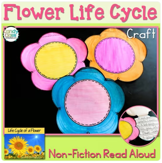 Life Cycle of a Flower Spring Writing Craft Activity Nonfiction Read Aloud Book image preview 2