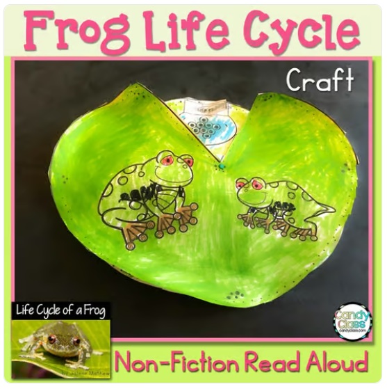 Frog Life Cycle Spring Diagram Craft Activities and Nonfiction Read Aloud Book image preview 2