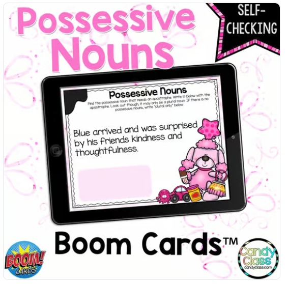 Possessive Nouns Boom Cards Digital 2nd Grade Grammar Practice Review Activity image preview 2